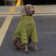 Cozy Ribbed Knit Dog Sweater – Soft Turtleneck Pullover