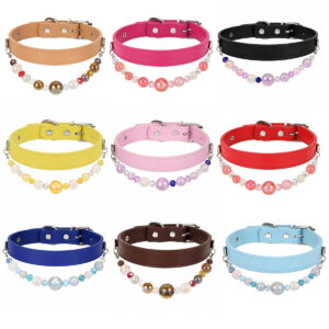 Beaded Resin Charm Dog Collar