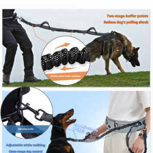 Reflective Dog Leash Belt