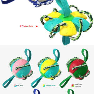 Interactive Dog Frisbee Training Ball