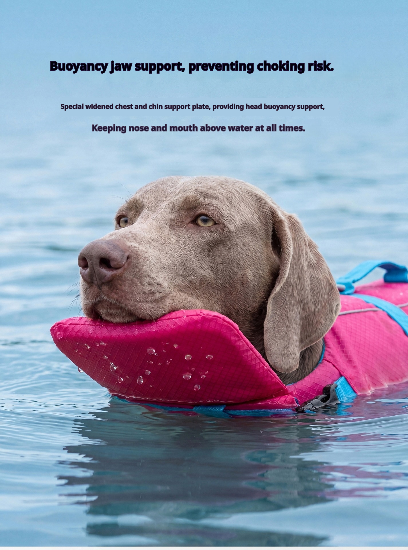 Dog Life Jacket - Buoyancy Swim Vest - Image 6