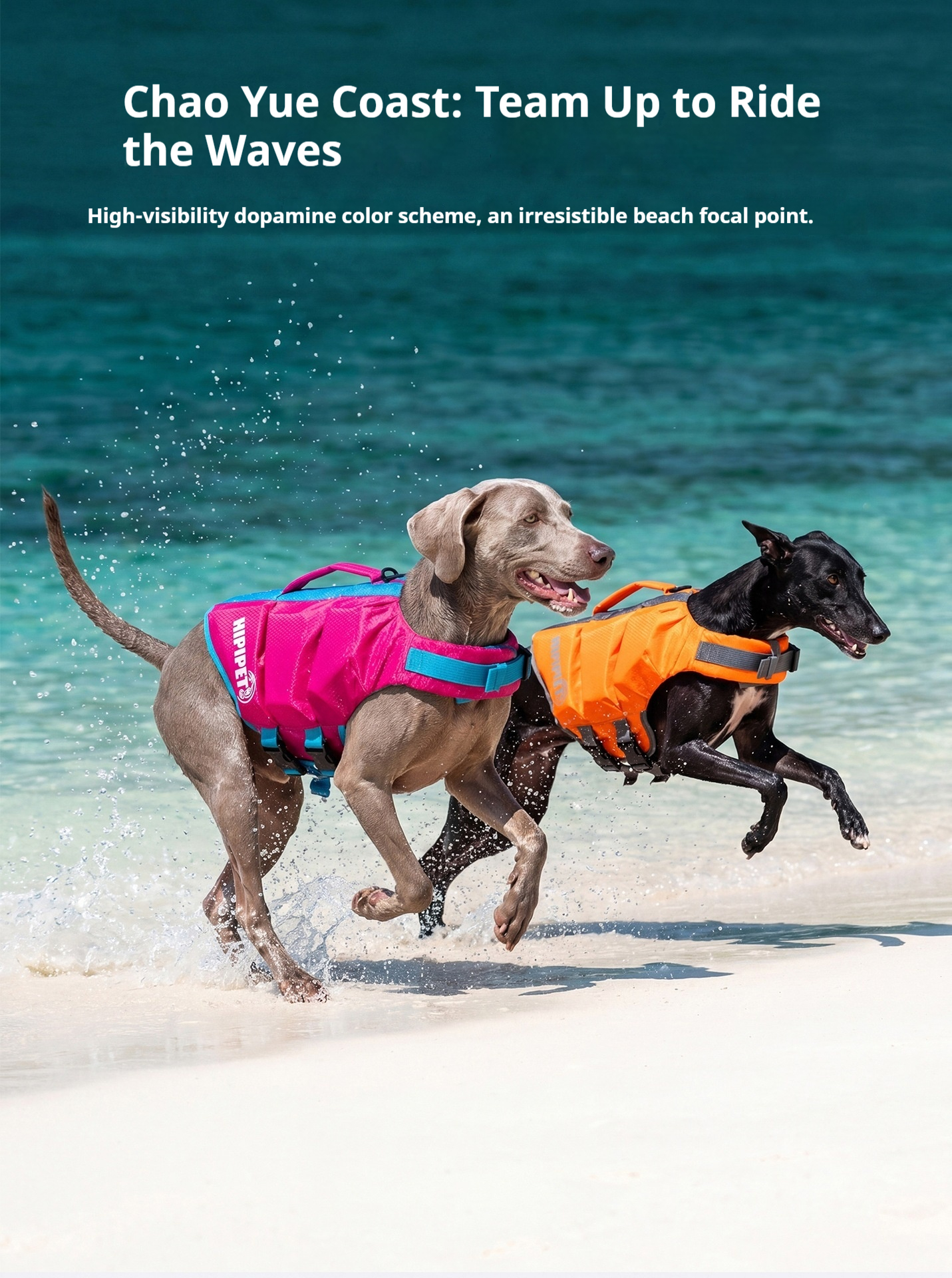 Dog Life Jacket - Buoyancy Swim Vest