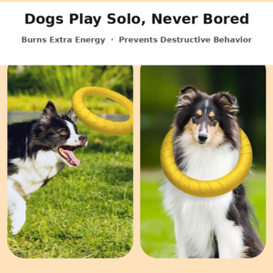 EVA Chew-Resistant Dog Toy – Frisbee, Training Ring & Ball Set