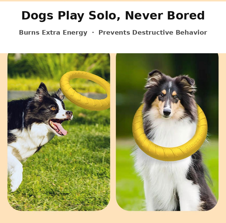 EVA Chew-Resistant Dog Toy – Frisbee, Training Ring & Ball Set