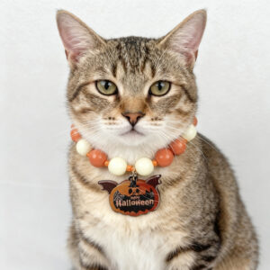 Halloween Beaded Collar for Cats & Small Dogs