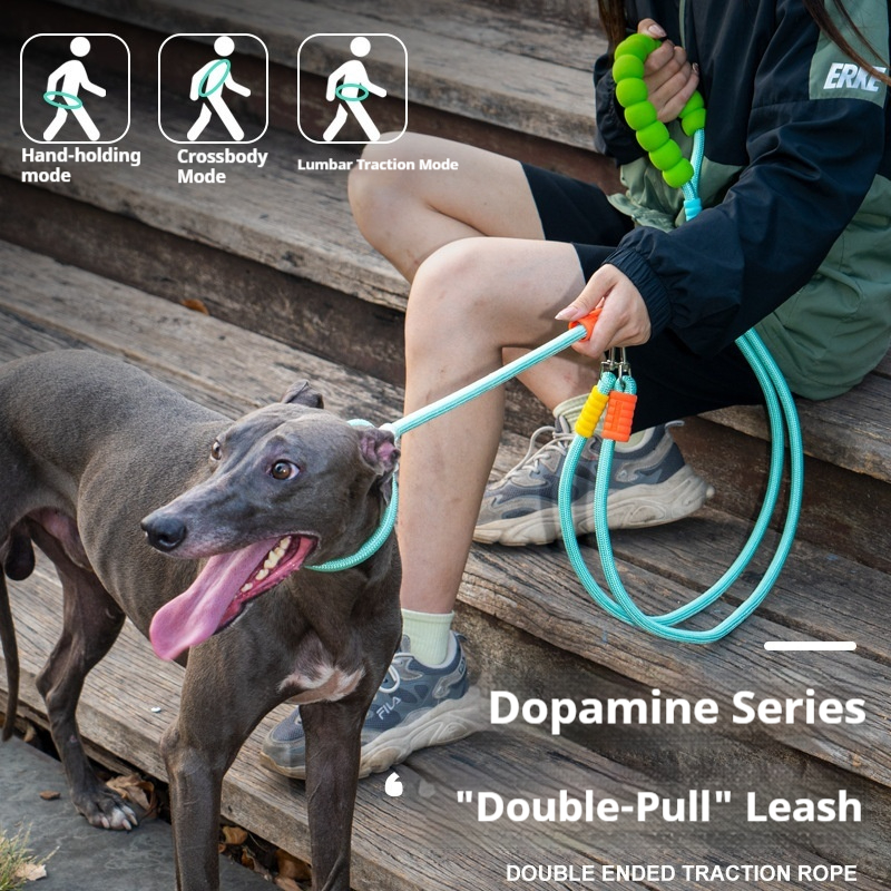 Double Dog Leash - Image 8