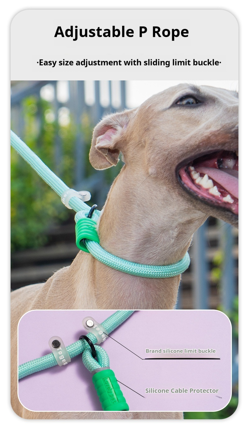 Double Dog Leash - Image 4
