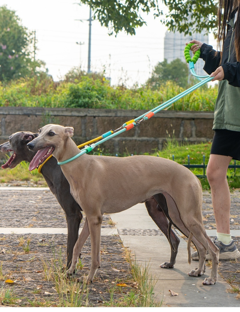 Double Dog Leash - Image 5