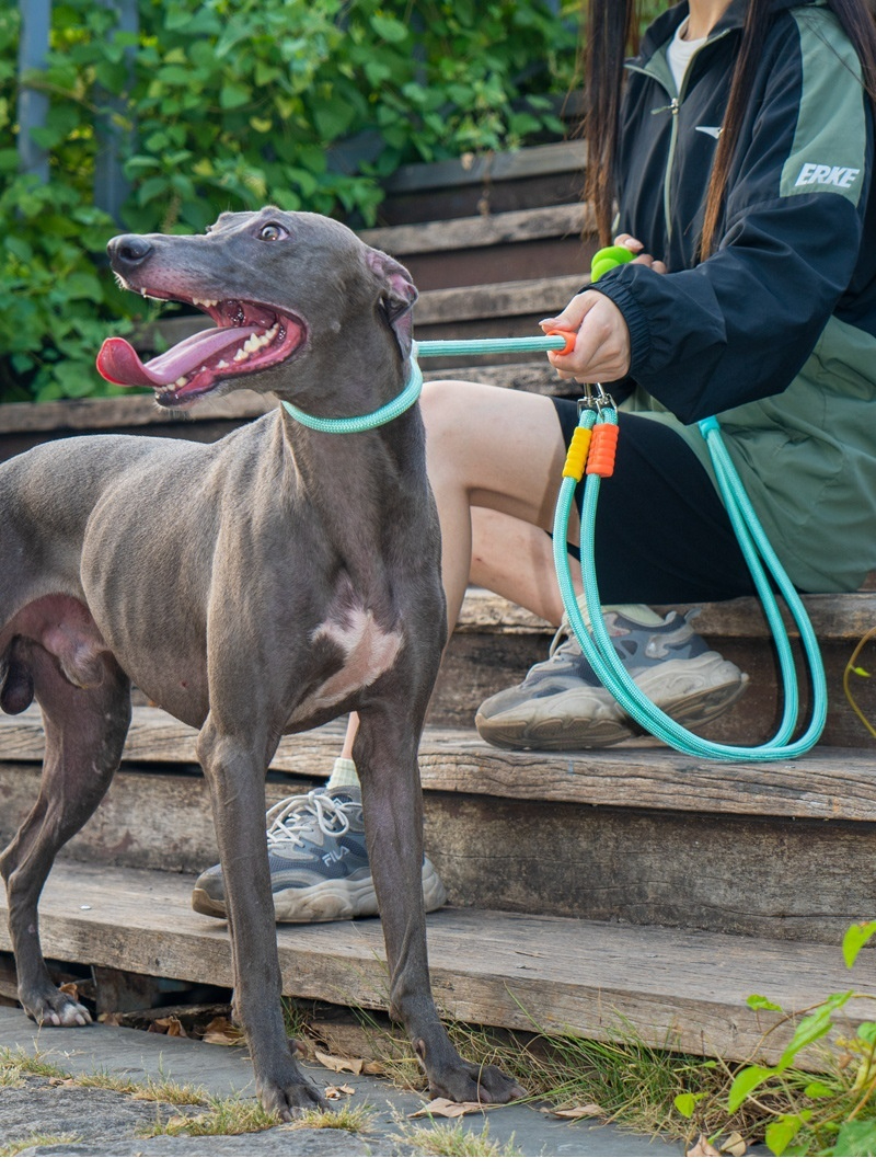 Double Dog Leash - Image 6