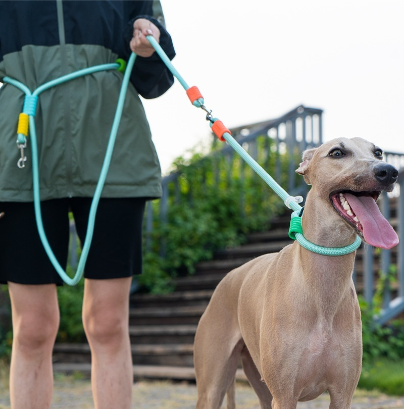 Double Dog Leash - Image 7